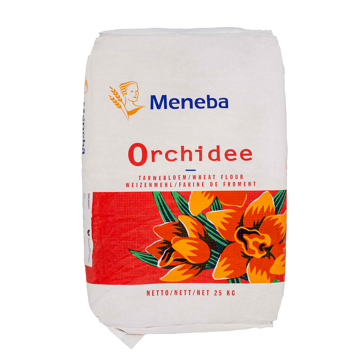 5033-orchidee-01
